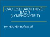 Các loại bạch huyết bào t (lymphocyte t)