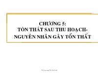 Bài giảng công nghệ sau thu hoạch chương 5