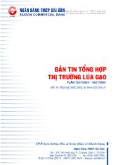 Bản tin tổng hợp thị trường lúa gạo