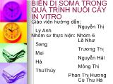 Biến dị soma trong quá trình nuôi cấy in vitro