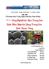 Công Nghệ Sinh Học Trong Sản Xuất Nấm Men Sử Dụng Trong Sản Xuất Rượu Vang