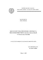 Khảo sát một số đặc điểm sinh học, sinh thái của hai loài rầy phấn trắng Aleurodicus dispersus Russell và Bemisia tabaci Gennadius