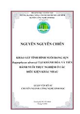 Khảo sát tình hình nuôi rong sụn tại khánh hòa kappaphycus alvarezii và tiến hành nuôi thực nghiệm ở các điệu kiện khác nhau