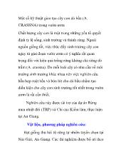 Một số kỹ thuật gieo tạo cây con dó bầu (A CRASSNA) trong vườn ươm