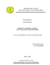 Nghiên Cứu Chế Biến Sản Phẩm Gan Cá Tra Sốt Cà Chua Đóng Hộp