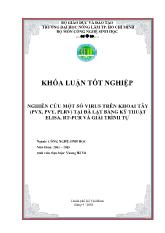 Nghiên cứu một số virus trên khoai tây (pvx, pvy, plrv) tại đà lạt bằng kỹ thuật elisa, rt-Pcr và giải trình tự
