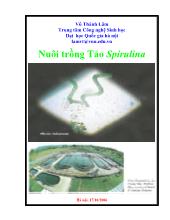 Nuôi trồng Tảo Spirulina