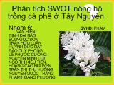 Phân tích SWOT nông hộ trồng cà phê ở Tây Nguyên