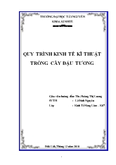 Quy trình kinh tế kĩ thuật trồng cây đậu tương
