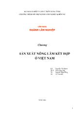 Sản xuất nông lâm kết hợp