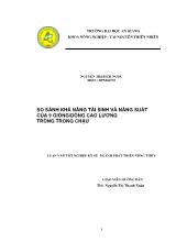 So sánh khả năng tái sinh và năng suất của 9 giống/dòng cao lương trồng trong chậu