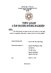 Tiểu luận Côn trùng nông nghiệp sâu đục quả cà chua