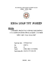 Tìm hiểu phản ứng với mật độ trồng của giống ngô đường lai kiểu cây mới Tiên Việt 3 tại Gia Lâm