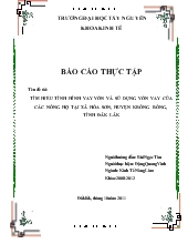 Tìm hiểu tình hình vay vốn và sử dụng vốn vay của các nông hộ tại xã hòa sơn, huyện krông bông, tỉnh Đăk Lăk