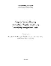 Trồng rừng Tràm trên những vùng Đất chua Nặng ở Đồng bằng sông Cửu Long và Công dụng Thương phẩm mới của nó