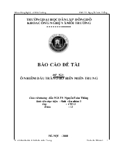 Vấn đề tràn dầu ở bờ biển miền Trung