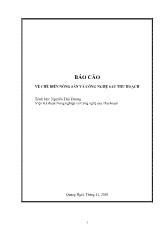 Về chế biến nông sản và công nghệ sau thu hoạch