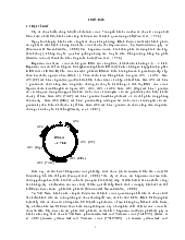 Virus tấn công cà chua