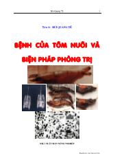 Bệnh của tôm nuôi và phương pháp phòng bệnh - Chương 1