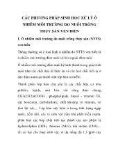 Các phương pháp sinh học xử lý ô nhiễm môi trường do nuôi trồng thuỷ sản ven biển