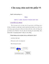 Cẩm nang chăn nuôi thỏ phần 6