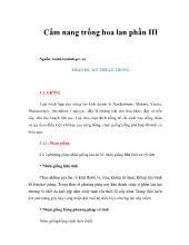 Cẩm nang trồng hoa phong lan