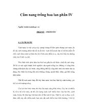 Cẩm nang trồng hoa phong lan