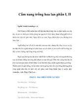 Cẩm nang trồng hoa phong lan