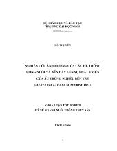 Nghiên cứu ảnh hưởng của các hệ thống ương nuôi và nền đáy lên sự phát triển của ấu trùng nghêu bến tre (Meretrix Lyrata Sowerby, 1851)