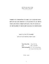 Nghiên cứu ảnh hưởng của thức ăn và mật độ ương đến tốc độ tăng trường và tỉ lệ sống của ấu trùng vẹm xanh từ giai đoạn ấu trùng đỉnh vỏ thẳng đến giai đoạn ấu trùng bám