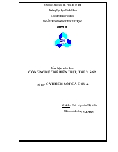 Sản xuất cá trích sốt cà chua đóng hộp