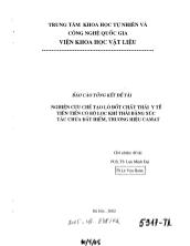 Nghiên cứu chế tạo lò đốt chất thải y tế tiên tiến có bộ lọc khí thải bằng xúc tác chứa đất hiếm, thương hiệu Camat