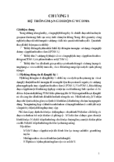 Giải pháp phân tập không gian - Thời gian trong wcdma