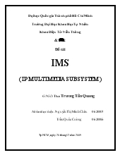 Ims - IP Multimedia Subsystem