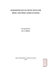 Semi - Blind signal detection for mimo and mimo - Ofdm systems