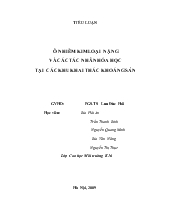 Đề tài Ô nhiễm kim loại nặng và các tác nhân hóa học tại các khu khai thác khoáng sản