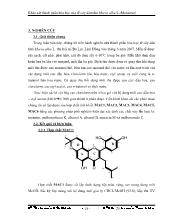Luận văn Khảo sát thành phần hóa học rễ cây dâu tằm morus albal., họ đậu (moraceae)