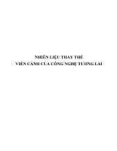 Đề tài Nhiên liệu thay thế viễn cảnh của công nghệ tương lai
