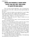 Luận văn Nhóm con parabolic của nhóm tuyến tính đặc biệt trên vành có hạng ổn định bằng một