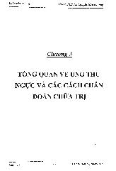 Luận văn Ứng dụng biến đổi wavelet và mạng nơron để phát hiện và chuẩn đoán các hóa vôi rất nhỏ trên nhũ ảnh