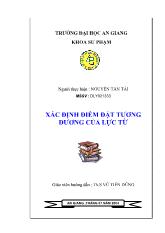 Luận văn Xác định điểm đặt tương đương của lực từ