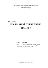 Báo cáo Quy trình kỹ thuật trồng hoa cúc