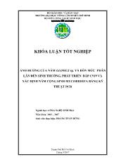 Khóa luận Ảnh hưởng của nấm Glomus sp. và bốn mức phân lân đến sinh trưởng, phát triển của bắp C919 và xác định nấm cộng sinh bằng kỹ thuật PCR