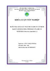 Khóa luận Bước đầu khảo sát mật độ vi khuẩn cố định đạm và hàm lượng tinh dầu của rễ cỏ Vetiver (Vetiverria zizanioides L.)