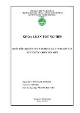 Khóa luận Bước đầu nghiên cứu tận dụng bã men bia để sản xuất nước chấm lên men