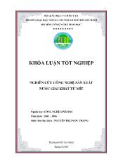 Khóa luận Công nghệ sản xuất nước giải khát từ mít