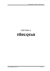 Khóa luận Công nghệ sản xuất rượu vang từ trái sơri