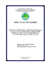 Khóa luận Khảo sát ảnh hưởng của dịch nấm phytophthora capsici và các tác nhân hóa lý đến sự sinh trưởng và khả năng tạo đột biến của cây tiêu (Piper nigrum L.) nuôi cấy mô