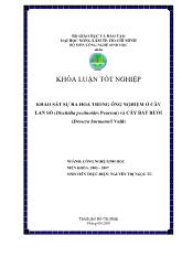 Khóa luận Khảo sát sự ra hoa trong ống nghiệm ở cây lan sò (Dischidia pectinoides Pearson) và cây bắt ruồi (Drosera burmannii Vahl)