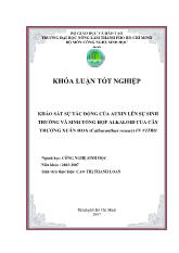 Khóa luận Khảo sát sự tác động của auxin lên sự sinh trưởng và sinh tổng hợp alkaloid của cây trường xuân hoa (catharanthus roseus) in vitro